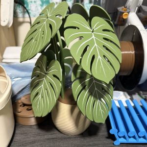 Monstera 8 Posavasos Encajables