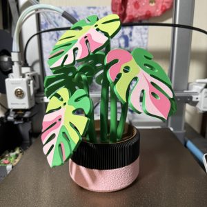 Monstera Posavasos Imantada Maceta Baja